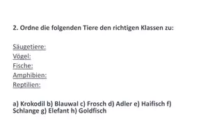 Vorschau - Arbeitsblätter - Wirbeltiere, Fragen und Aufgaben mit Lösungen - Seite 3