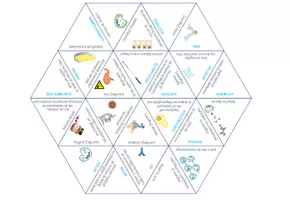 Vorschau - Spiele - Mikroben und Immunabwehr – Dreieck Domino Spiel - Seite 1
