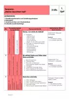 Vorschau - Lehrpläne/Lehrermaterial - Falten - einfacher Stern - Sequenzplanung - Seite 3