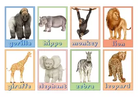 Προεπισκόπηση - Flashcards - Αγγλικά: animals - natural habitat flashcard game - Εξώφυλλο