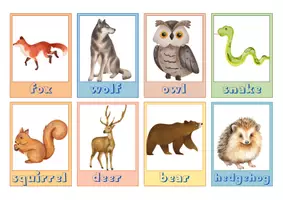 Προεπισκόπηση - Flashcards - Αγγλικά: animals - natural habitat flashcard game - Σελίδα 3