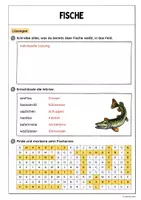 Vorschau - Arbeitsblätter - Fische (Einführungsstunde) - Seite 2