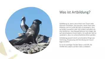 Vorschau - Präsentationen/Tafelbilder - Artbildung_ Evolution der Arten_Präsentation_digital - Seite 2