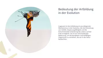 Vorschau - Präsentationen/Tafelbilder - Artbildung_ Evolution der Arten_Präsentation_digital - Seite 3