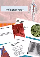 Vorschau - Unterrichtsreihen - Blutkreislauf_Präsentation_Digital - Deckblatt