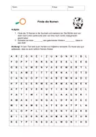 Vorschau - Arbeitsblätter - Suchsel - Finde die Nomen - Seite 3