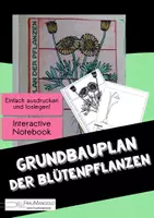 Vorschau - Stundenentwürfe - Grundbauplan der Blütenpflanzen - Aufbau Pflanzen - Biologie Sek 1 - Interactive Notebook Arbeitsblatt - Interaktives Notizbuch - Deckblatt