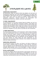 Vorschau - Stundenentwürfe - Materialpaket Ökosystem Wald | 5 sorglos Stunden Wald, Stockwerke, des Waldes, Nische, Pflanzenzelle, Wald - Seite 1