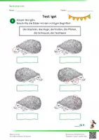 Vorschau - Test - DER IGEL - Test - Lernkontrolle + Lösung - 2.-3. Klasse - Sachkunde - Seite 1