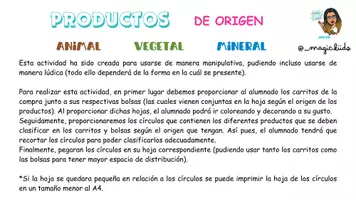 Vista previa - Refuerzo / NEE / Materiales de apoyo - Clasificación de productos (origen animal, vegetal o mineral) - página 2