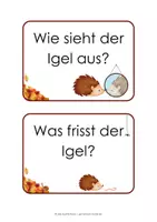 Vorschau - Stationenlernen - Der Igel - Reihentransparenz - Seite 3