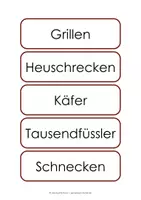 Vorschau - Präsentationen/Tafelbilder - Der Igel - Die Nahrung des Igels - Seite 2