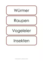 Vorschau - Präsentationen/Tafelbilder - Der Igel - Die Nahrung des Igels - Seite 3