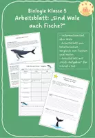 Vorschau - Arbeitsblätter - Arbeitsblatt "Sind Wale auch Fische?" - Deckblatt