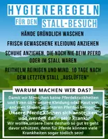 Vorschau - Fördermaterial/Inklusion - Hygiene Regeln zum Schutz der Pferde (Reittherapie + Reitpädagogik) - Seite 2