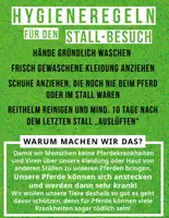 Vorschau - Fördermaterial/Inklusion - Hygiene Regeln zum Schutz der Pferde (Reittherapie + Reitpädagogik) - Deckblatt