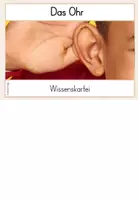 Vorschau - Bildkarten - Das Ohr - Der Hörsinn - Wissenskartei - Seite 2