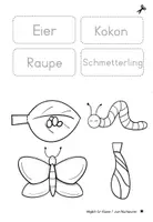 Vorschau - Mal- und Bastelvorlagen - Quadrama Schmetterlinge (Entwicklung, Metamorphose) - Seite 3