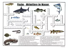 Vorschau - Arbeitsblätter - Fische (Kreuzworträtsel) - Seite 1