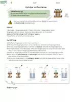 Vorschau - Arbeitsblätter - Hydrolyse von Saccharose | Versuch | Kohlenhydrate - Deckblatt