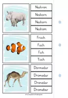 Vorschau - Stationenlernen - Wörter genau lesen - Klammerkarten Zootiere - Seite 3