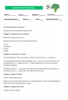 Vorschau - Arbeitsblätter - Physik-Klassenarbeit - Klasse 10 Thema Elektrizität - Deckblatt