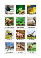 Vorschau - Spiele - DaZ - Deutsch - Lesedomino Tiere - Wörter und Artikel zuordnen - Seite 2