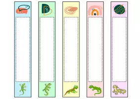 Vorschau - Anderer Materialtyp - Ordnerrücken schmal + breit - Eidechse für die Eidechsenklasse - Seite 2