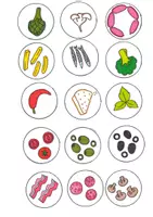 anteprima - Giochi - Finalmente pizza! Gioco di attenzione visiva, memoria e velocità - Pagina 1