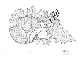 Vorschau - Mal- und Bastelvorlagen - Winter *BE* Igel im Laub ausmalen inkl. Mandala-Ausmalbild - Seite 3