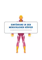 Vorschau - Arbeitsblätter - Einführung: Der menschliche Körper, Knochen, Organe, Körperteile - Seite 1