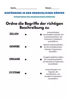 Vorschau - Arbeitsblätter - Einführung: Der menschliche Körper, Knochen, Organe, Körperteile - Seite 2