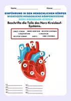 Vorschau - Arbeitsblätter - Einführung: Der menschliche Körper, Knochen, Organe, Körperteile - Deckblatt