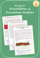 Vorschau - Arbeitsblätter - Arbeitsblätter zu Biomembran-Modellen - Deckblatt