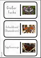 Vorschau - Spiele - Kettenreaktionsspiel: Schmetterlinge - Seite 2