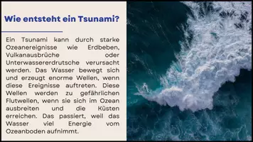 Vorschau - Bildkarten - Naturkatastrophen - Lernkarten zu Lawinen, Sandstürmen, Waldbränden & Co. - Erdkunde für die Sek 1 - Seite 3
