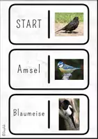 Vorschau - Spiele - Kettenreaktionsspiel: Vögel - Seite 1