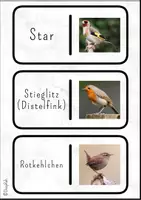 Vorschau - Spiele - Kettenreaktionsspiel: Vögel - Seite 3