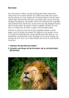 Vorschau - Arbeitsblätter - Tierkarten 2 -sinnentnehmendes Lesen, Markieren, Stichwörter verfassen - Deckblatt