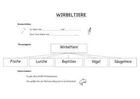 Vorschau - Arbeitsblätter - Einführung Wirbeltiere - Deckblatt