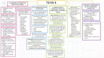 Vista previa - Para docentes: organización, planificación y formación - Esquema Tema 5 Oposiciones Infantil - Portada