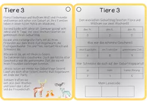 Vorschau - Stationenlernen - Leseknacker Tiere - Seite 3