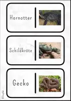 Vorschau - Spiele - Kettenreaktionsspiel: Reptilien - Seite 2