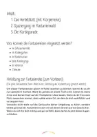 Vorschau - Stundenentwürfe - 3 Herbstliche Fantasiereisen - Entspannung im Herbst - Seite 1