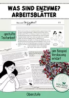 Vorschau - Arbeitsblätter - Einführung Enzymatik Eigenschaften Enzyme + Interactive - Deckblatt