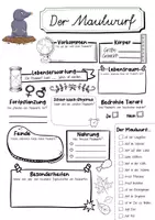 Vorschau - Mal- und Bastelvorlagen - Maulwurfklasse Materialpaket - Maulwurf Sparpaket - Seite 2