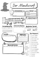 Vorschau - Mal- und Bastelvorlagen - Maulwurfklasse Materialpaket - Maulwurf Sparpaket - Seite 3