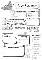 Vorschau - Mal- und Bastelvorlagen - Raupenklasse Materialpaket - Raupe Sparpaket - Seite 3