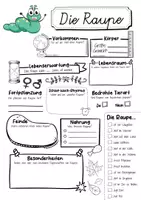 Vorschau - Mal- und Bastelvorlagen - Raupenklasse Materialpaket - Raupe Sparpaket - Seite 2
