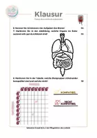 Vorschau - Arbeitsblätter - Klausur zum Blut und zur Bluttransfusion - Seite 2